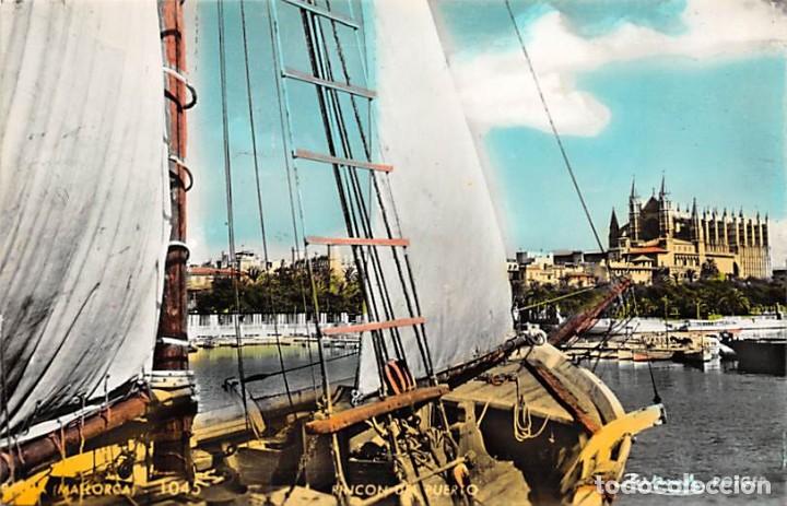 Postales: PALMA MALLORCA.- RINC&Oacute;N DEL PUERTO - Foto 1