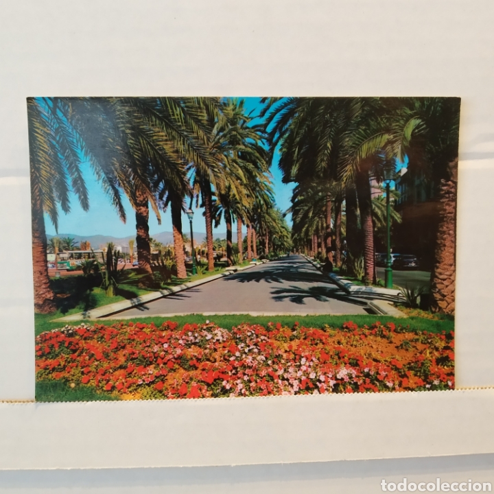 Postales: Gran lote de 15 postales de Mallorca - Foto 14
