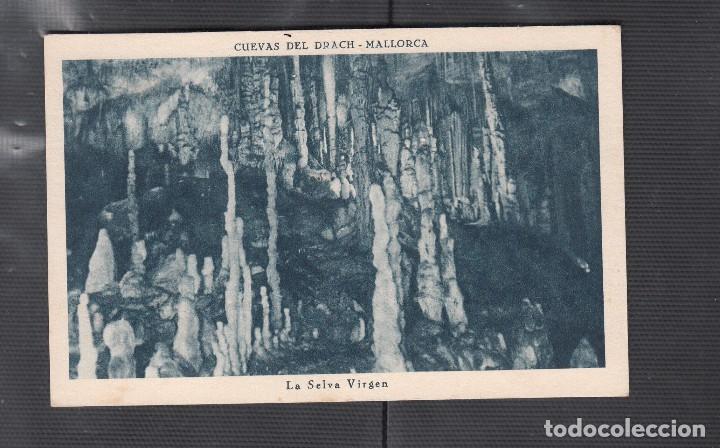 Postales: CUEVAS DEL DRACH. LA SELVA VIRGEN - Foto 1