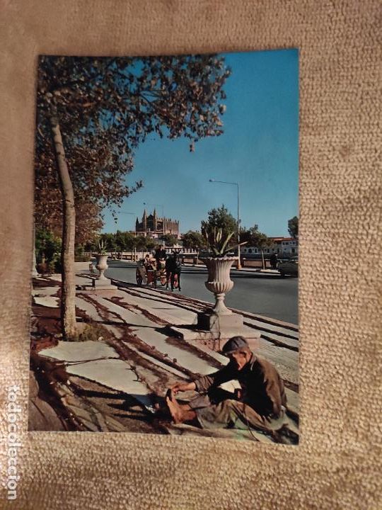 Postales: MALLORCA N&ordm; 1045. ED. PALMA - Foto 1