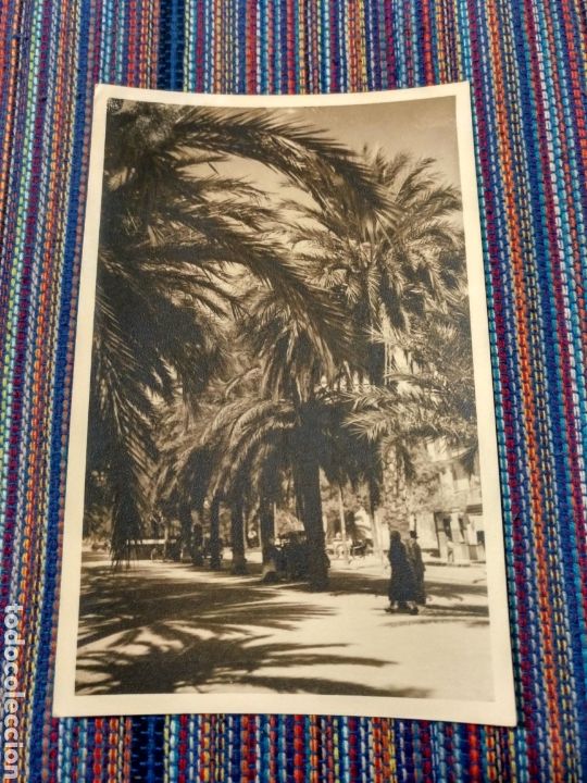 Postales: PALMA MALLORCA EL PASEO SAGRERA - Foto 1