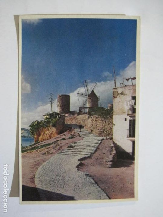Postkarten: PALMA DE MALLORCA-MOLINOS DE EL JONQUET-SEIX Y BARRAL-FOTOCOLOR CASA PLANAS-POSTAL ANTIGUA-(76.225)