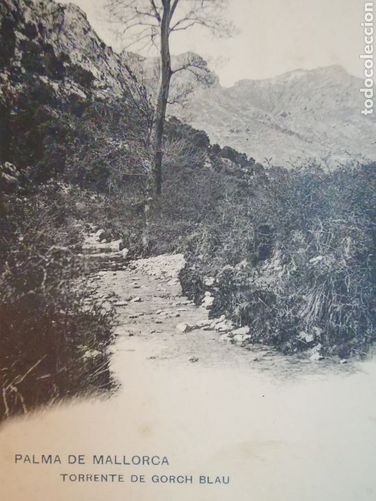 Postales: Postal de Palma de Mallorca, el Gorch blau. - Foto 3