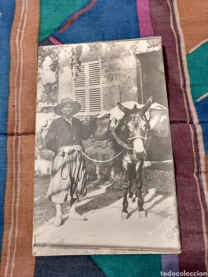 Postales: CAMPESINO CON BURRO DESPACHO DE ENTRADAS EN EDIFICIO - Foto 1