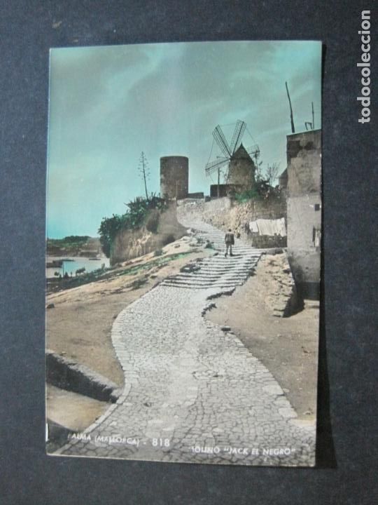 Cartoline: PALMA DE MALLORCA-MOLINO JACK EL NEGRO-ZERKOWITZ FOTO-818-POSTAL ANTIGUA-(76.529)