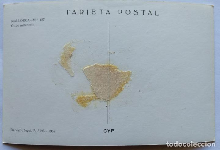 Postales: MALLORCA OLIVO MILENARIO - Foto 2