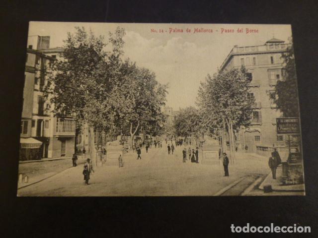 Postales: PALMA DE MALLORCA PASEO DEL BORNE - Foto 1