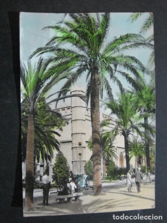 Postkarten: PALMA DE MALLORCA-PASEO SAGRERA Y LONJA-C.RIVAS FOTOGRAFO-4015-POSTAL ANTIGUA-(77.208)