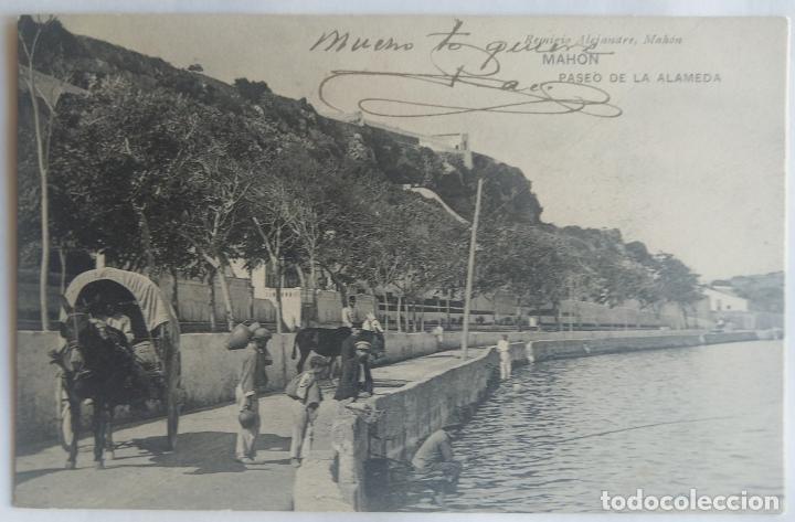 Postales: MAHON PASEO DE LA ALAMEDA - Foto 1