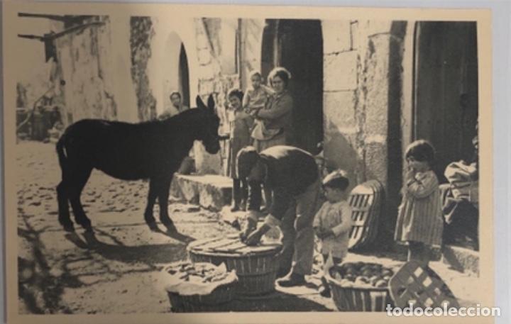 Postales: Postal de Soller.Mallorca - Foto 1
