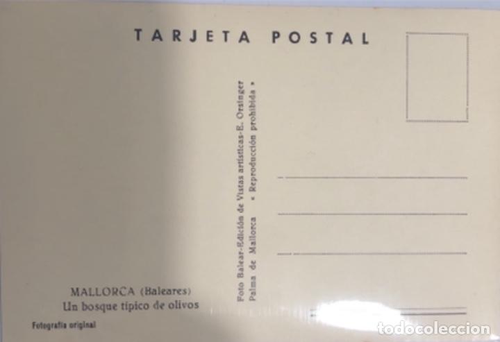 Postales: Postal de Mallorca - Foto 2