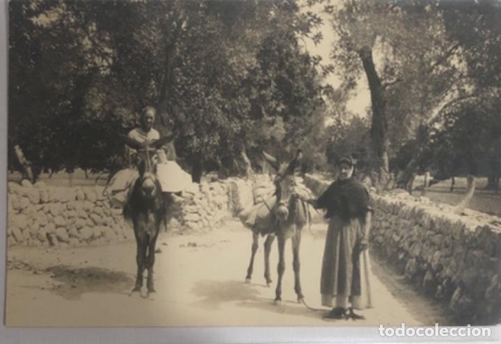 Postales: Postal de Mallorca - Foto 1