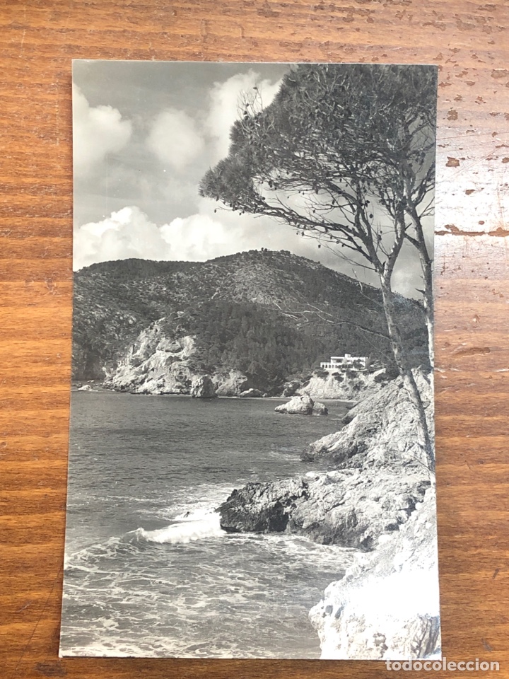 Postales: POSTAL 3110 MALLORCA: Camp de Mar - Foto 1