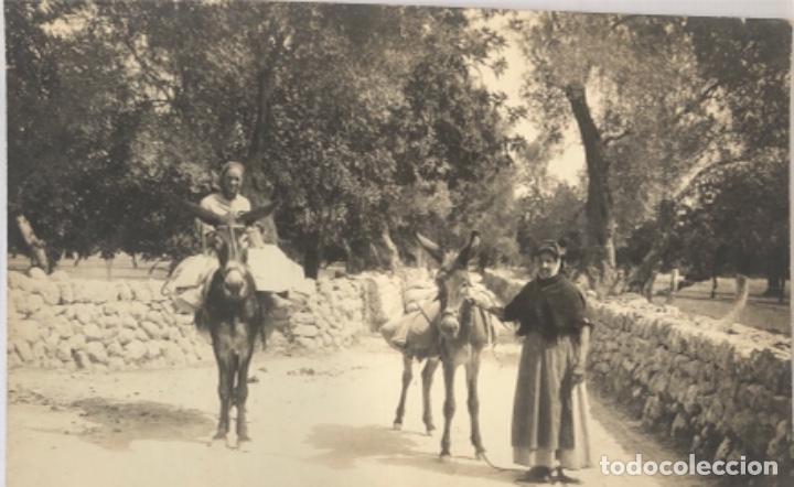 Postales: Postal Mallorca - Foto 1