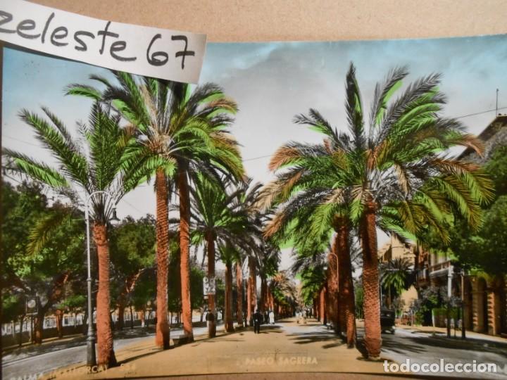 Postales: PALMA DE MALLORCA - PASEO SAGRERA - Foto 1