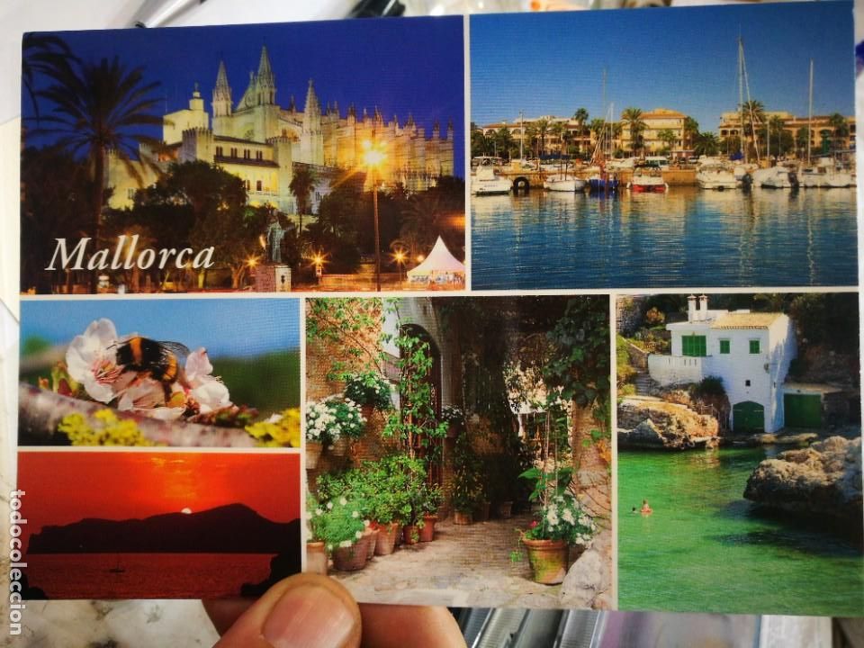 Postales: Postal MALLORCA Ediciones Costa de Mallorca S/C - Foto 1
