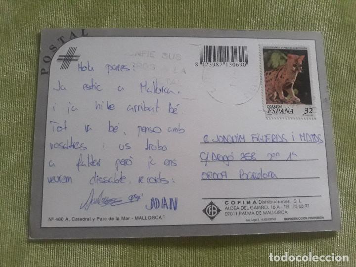 Postales: Mallorca - A. Catedral y Parc de la Mar - Foto 2