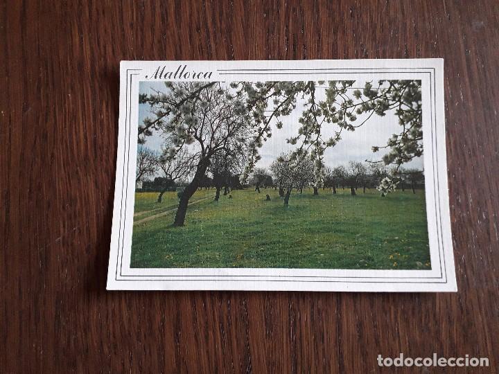 Postales: postal de almendros en flor, Mallorca. - Foto 1