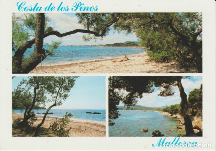Postales: (20525) MALLORCA. COSTA DE LOS PINOS - Foto 1