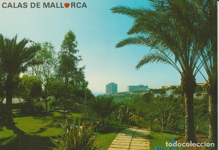 Postales: (2891) MALLORCA . CALAS DE MALLORCA - Foto 1
