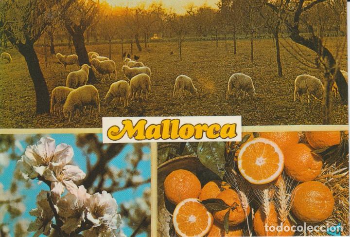 Postales: (3220) MALLORCA - Foto 1