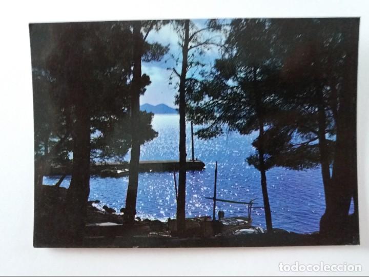 Postales: POSTAL - MALLORCA - PLAYA FORMENTOR - Foto 1