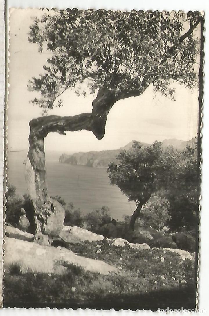 Postales: BALEARES MALLORCA DEYA ESCRITA - Foto 1