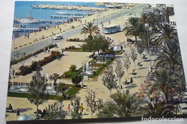 Postales: POSTAL IBIZA.-P&ordm; PALMERAS