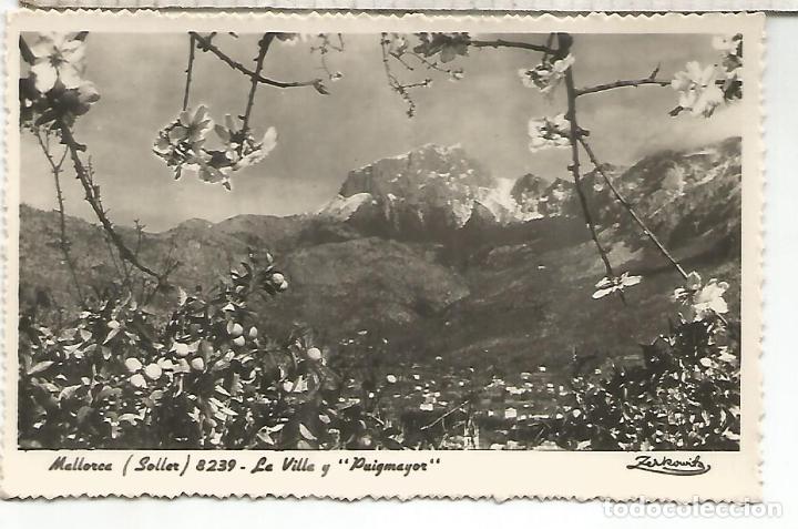 Postales: BALEARES MALLORCA SOLLER SIN ESCRIBIR - Foto 1