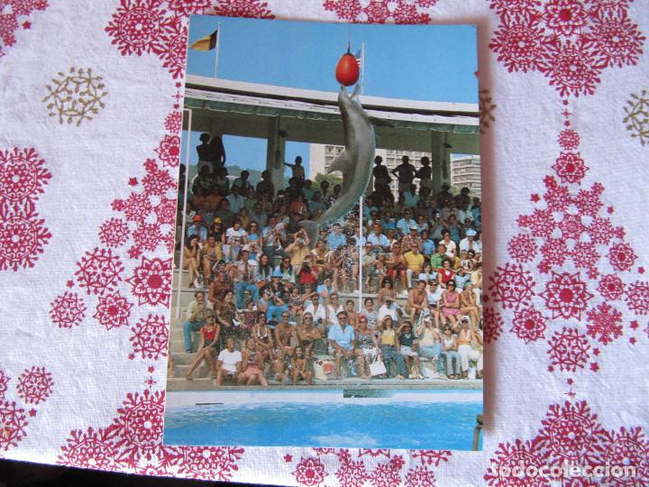 Postales: Marineland MALLORCA - Foto 1
