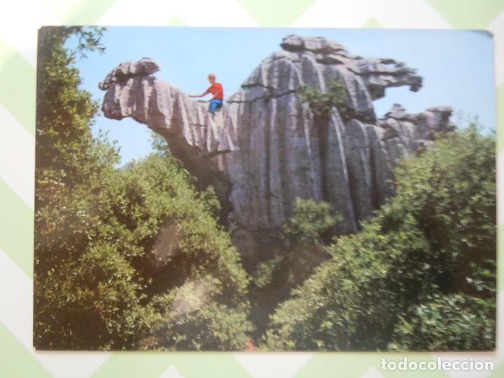 Postales: Postal del Camello de Lluch (Mallorca) - Foto 1