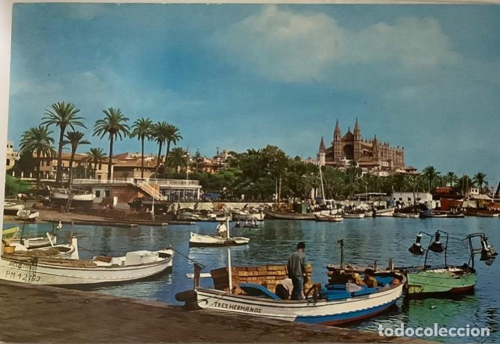 Postales: MALLORCA, Palma de Mallorca. Circulada. - Foto 1