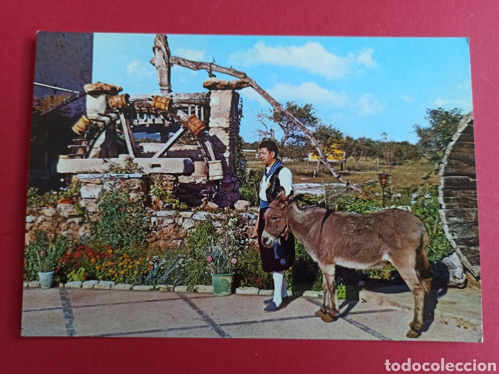 Postales: Mallorca, Noria t&iacute;pica. - Foto 1