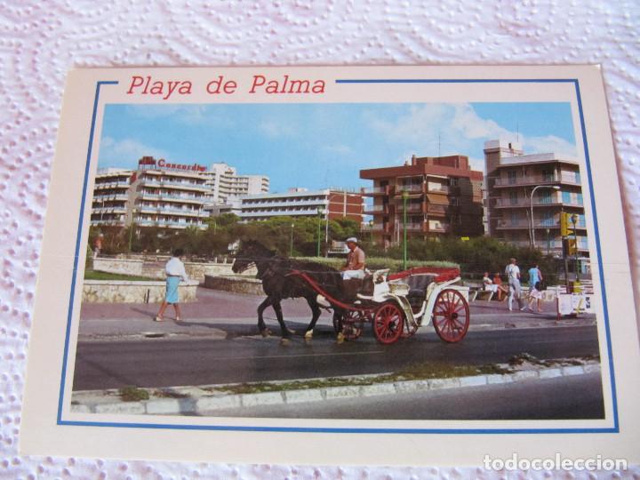 Cartes Postales: PLAYA DE PALMA-1984-3.266