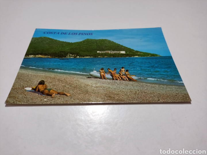 Postales: Postal Costa de los pinos Mallorca - Foto 1