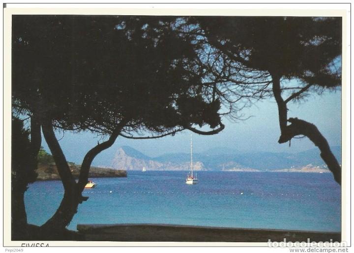Postales: :::: PH79 - POSTAL - EIVISSA - CALA BASSA - Foto 1