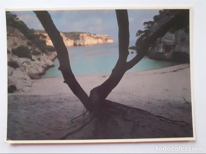 Postales: POSTAL - MACARELLETA - MEDITERRANIA - ESCRITA - Foto 1