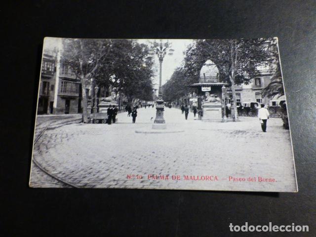 Postales: PALMA DE MALLORCA PASEO DEL BORNE - Foto 1