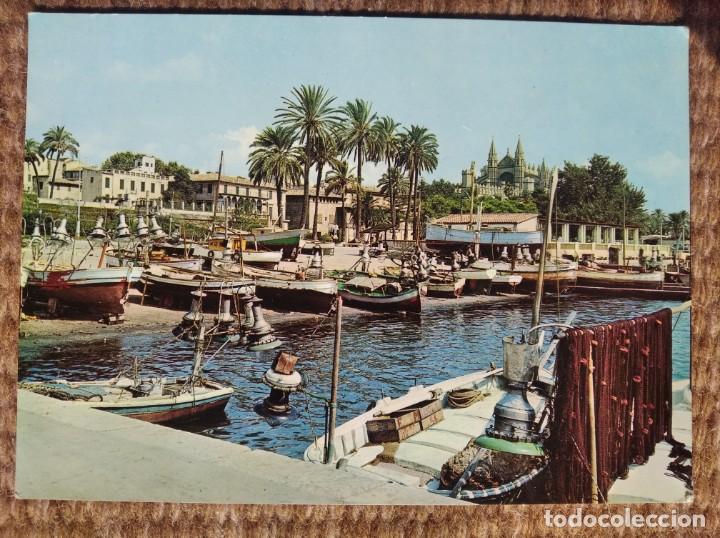 Postales: PALMA DE MALLORCA - CYP - Foto 1