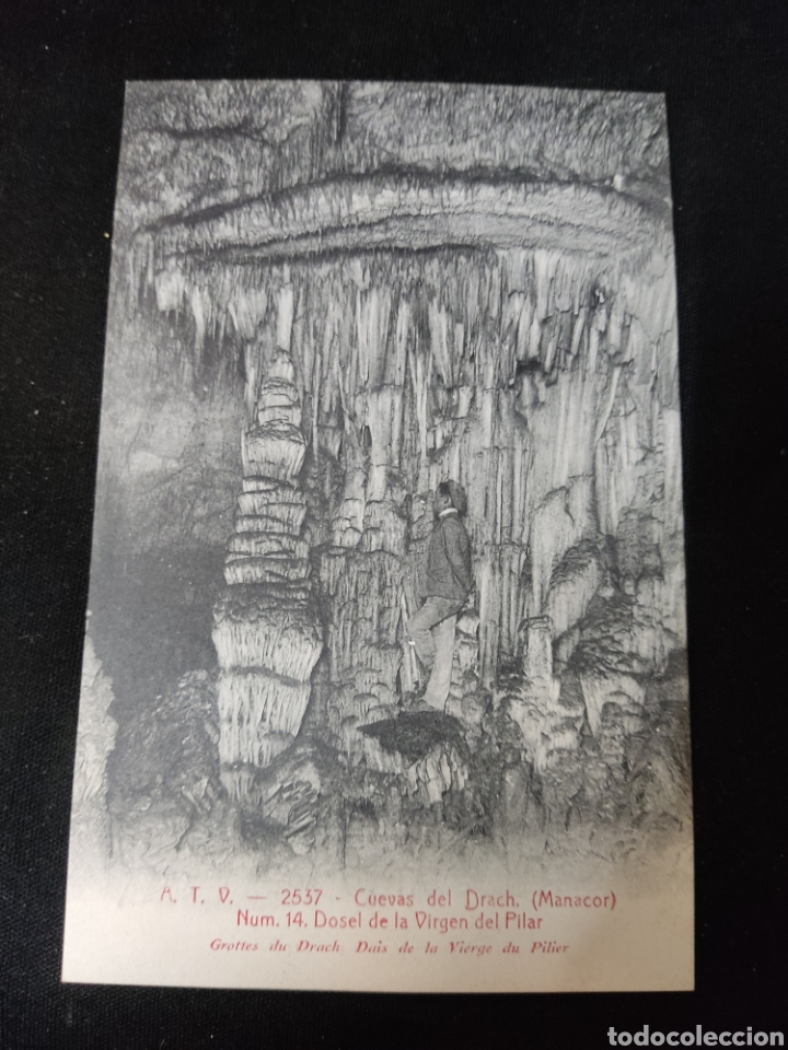 Postales: Postal cuevas del drac Mallorca (Manacor) - Foto 1