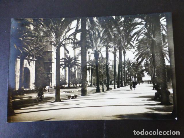 Postales: PALMA DE MALLORCA PASEO SAGRERA - Foto 1