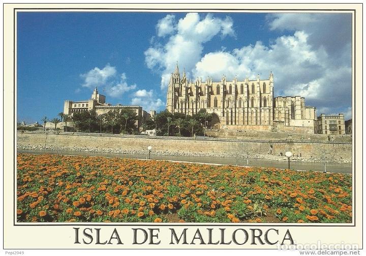 Postales: *** D344 - POSTAL - MALLORCA - CATEDRAL DE PALMA - Foto 1