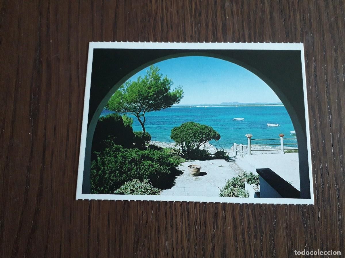postal de es coto, mallorca, foto de guillermo - Buy Postcards from the  Balearic Islands on todocoleccion