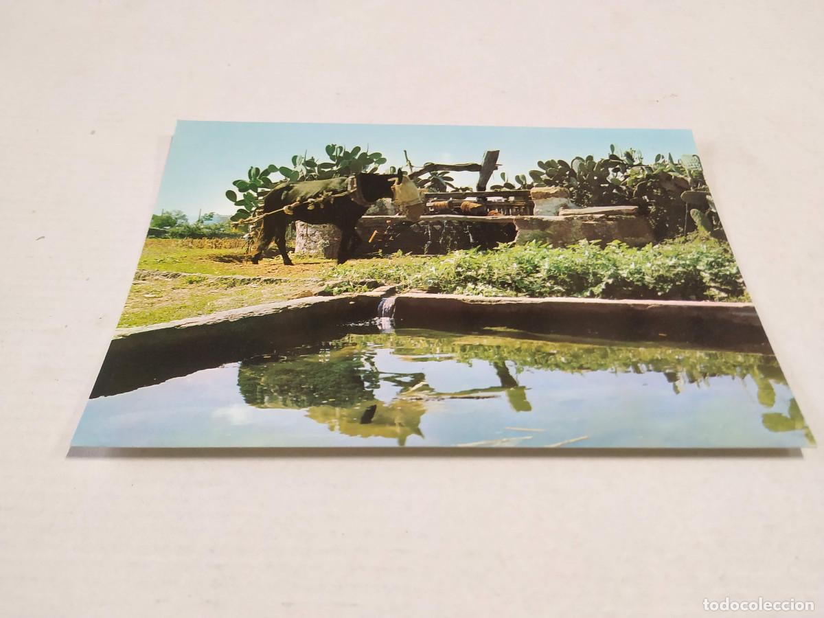 Postales: MALLORCA - POSTAL NORIA - Foto 1
