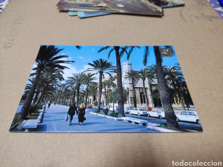 Postales: Postal Mallorca paseo sagrera - Foto 1