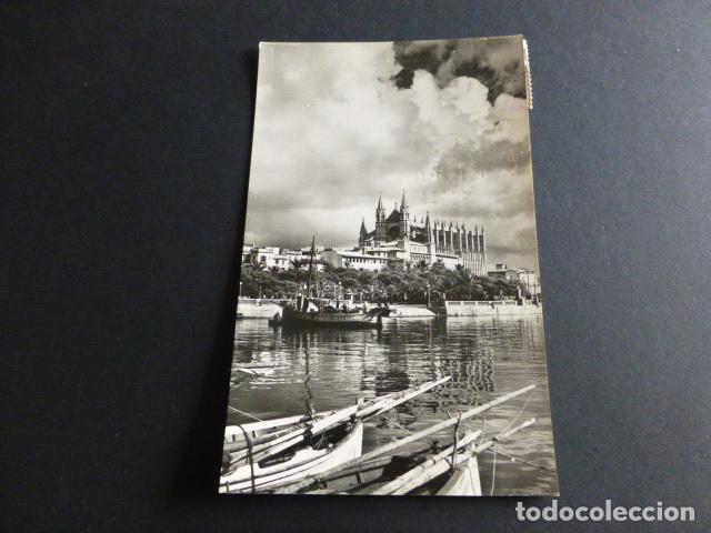 Postales: PALMA DE MALLORCA LA CATEDRAL DESDE EL MOLLET - Foto 1