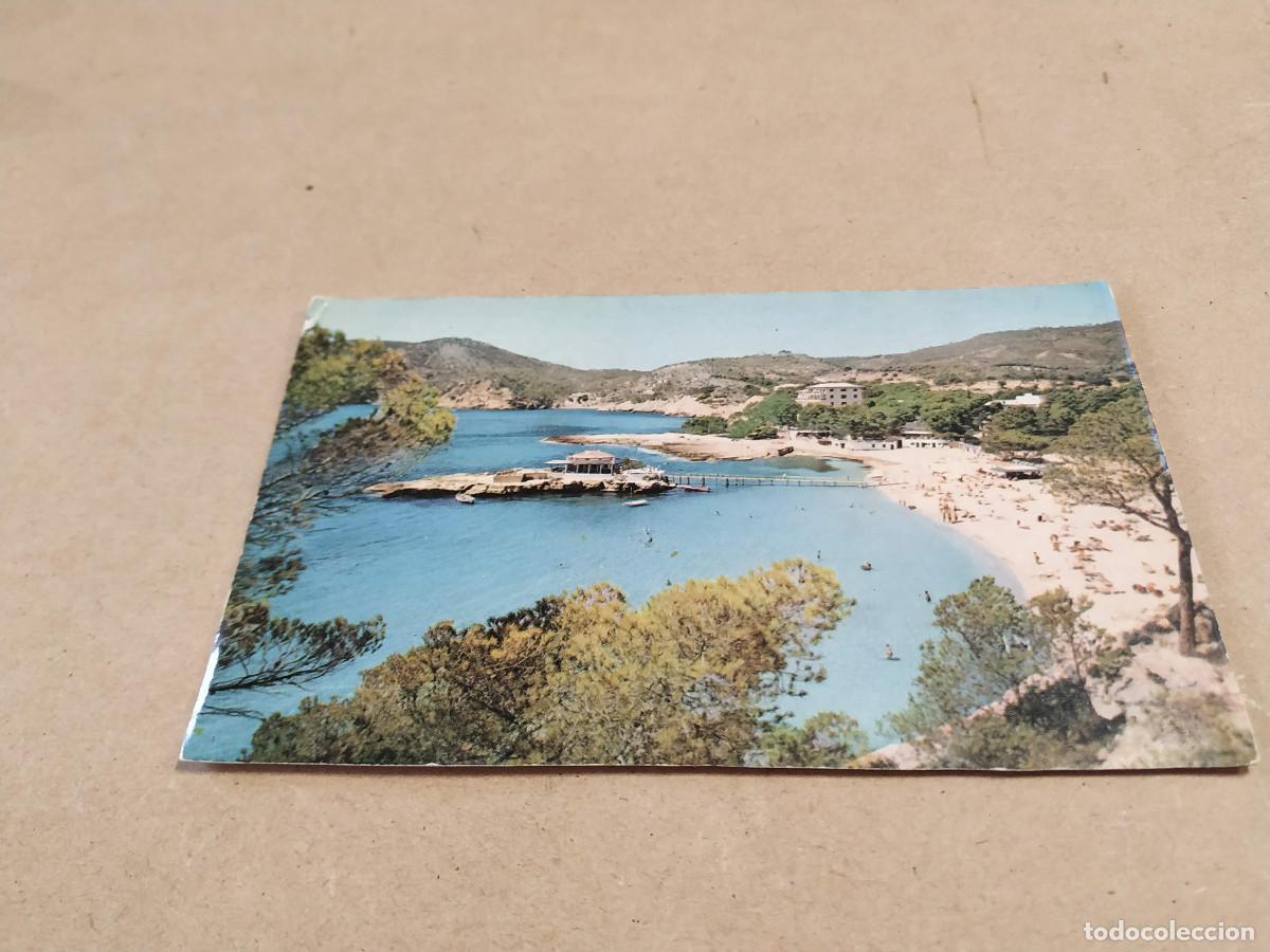 Postales: MALLORCA - POSTAL CAMP DE MAR - LA PLAYA - Foto 1
