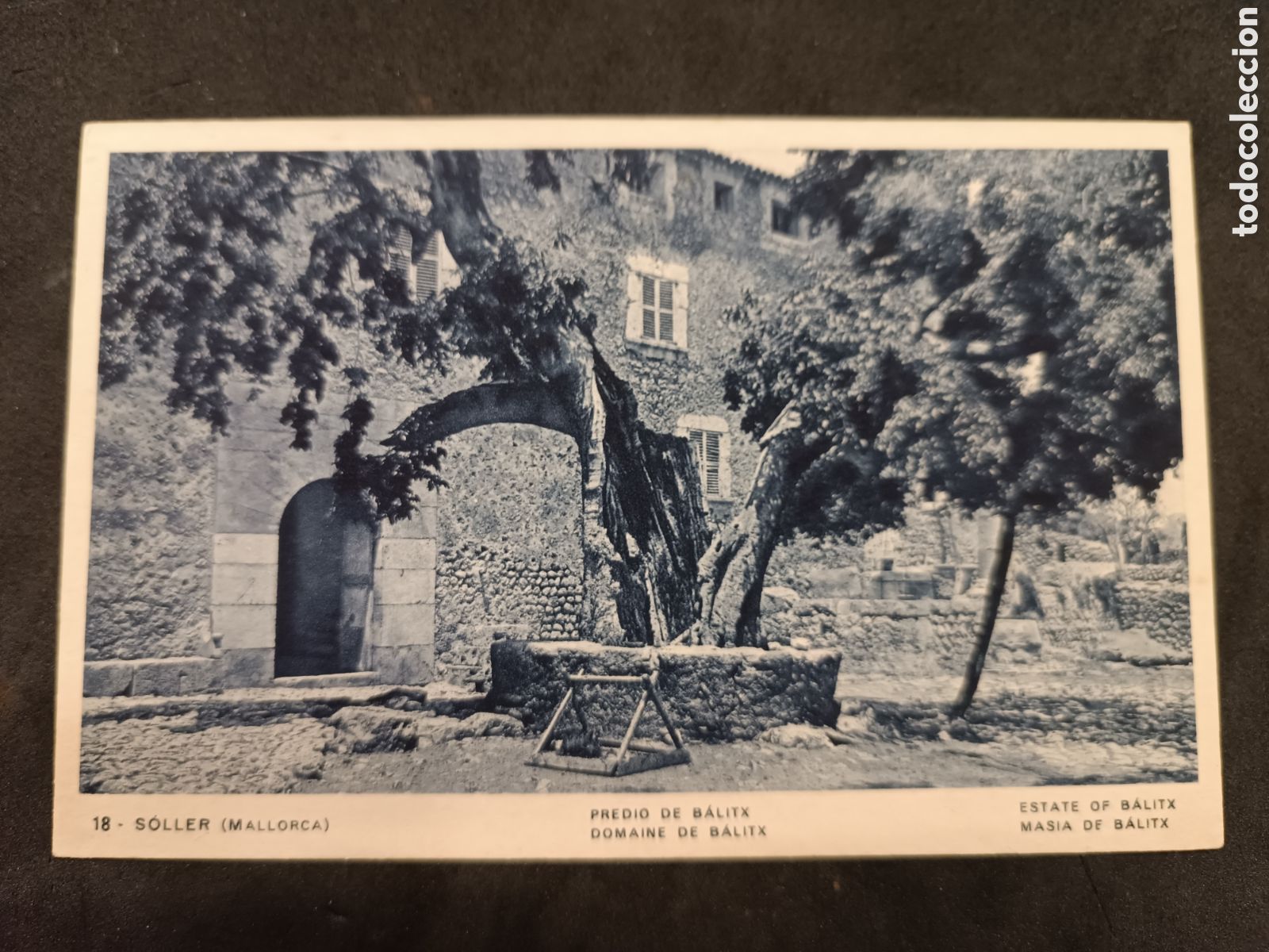 Postales: Mallorca Predio de Balitx - Foto 1