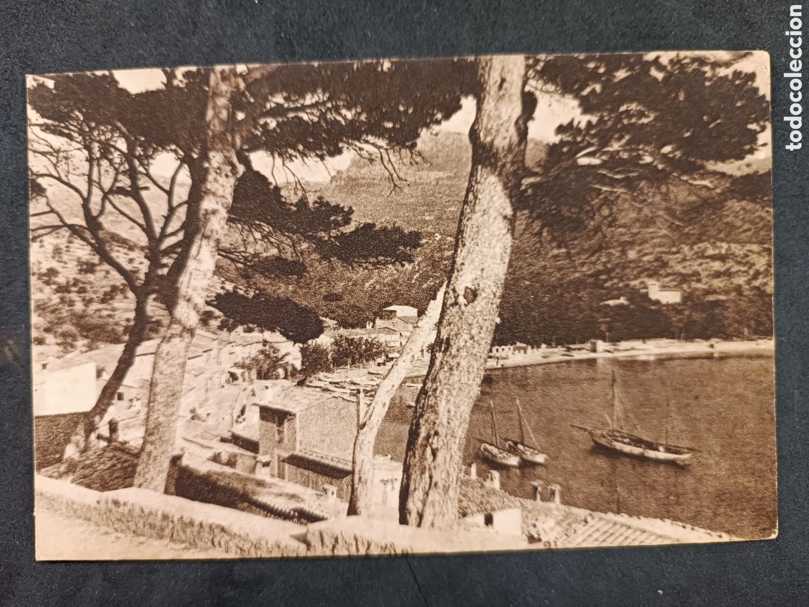 Cartoline: Postal puerto de soller