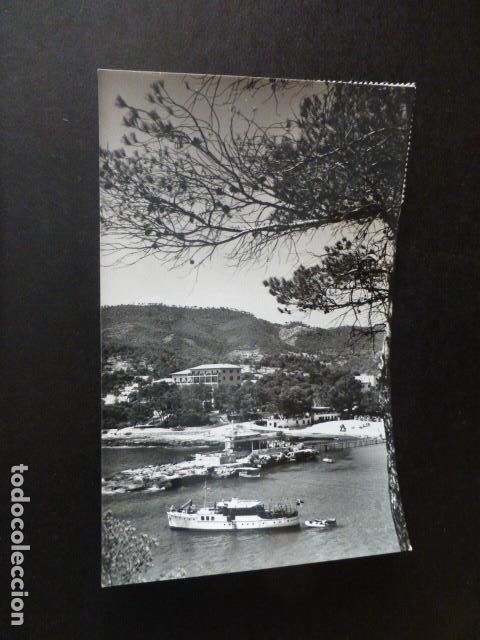 Postales: CAMP DE MAR MALLORCA - Foto 1